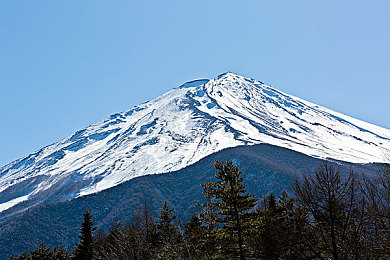 日本护士毛茸茸体内精|网络疑云:护士之谜,真相追踪之旅-3