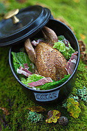 黄色软件免费下载3.0.3每天无限次vivo版破大全视频|vivo专属:免费畅享,海量高清视频盛宴攻略揭秘-5