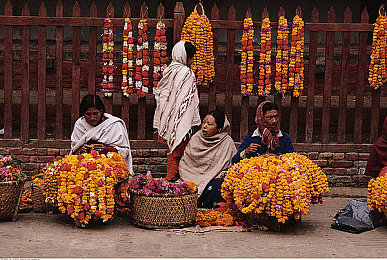 黄app软件下载安装免费版2023|2023免费版黄app走红:揭秘神秘魅力,海量内容等你探索-4