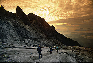 夜月直播APP下载｜互动新时代，夜月直播引领新潮流-2