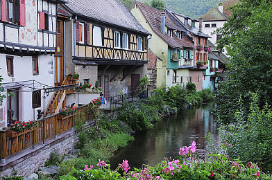 火影成人|梦想燃烧,忍者传奇:鸣人的青春火影之旅-2