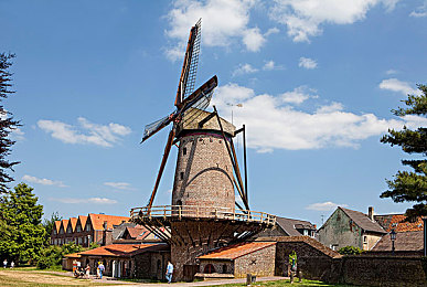 白鹿哭着喊着不能再快乐了|鹿妖泪诉仙界情,共赴梦幻寻欢途-1