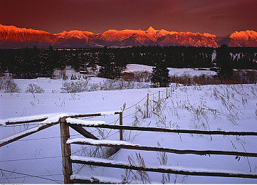 麻豆国产AV｜成人视频行业的崛起与社会反思的交锋-2