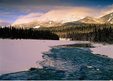 巴比伦植入1000种黄油｜千年巴比伦，千种黄油传奇-3
