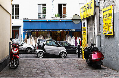 草莓丝瓜绿巨人｜生态共融种植奇遇记-4