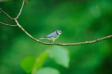 黄色软件下载OPPO免费｜OPPO畅享乐园，免费游戏任你玩-2