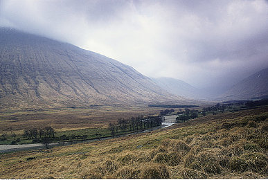 一级毛片按摩师｜按摩行业危机来袭,专业性与安全性面临挑战-3