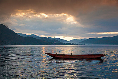 天涯pro官网色板免费版｜色彩大师：设计师的免费创意助手-4