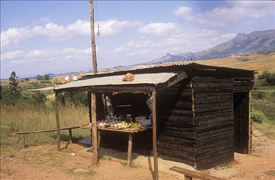 18禁网站入口｜守护清朗网络，共筑绿色家园