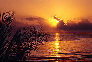 XDEVIOS中文免费版安装2.4.6｜XDEVIOS中文免费版2.4.6版本升级：界面优化性能提升，用户好评如潮-2