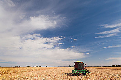 打扑克又痛又叫|“打扑克又痛又叫”游戏引发热议:独特玩法引争议,专家提醒健康风险-1