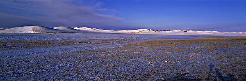 张丽被黑人巨大撑爆｜网络误传引风波，反思歧视共筑和谐