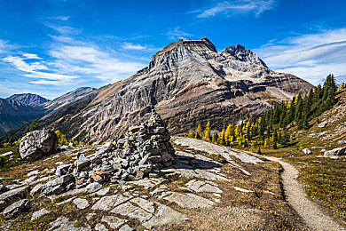 黄网站入囗|网络净化勇士,守护清朗网络世界-3