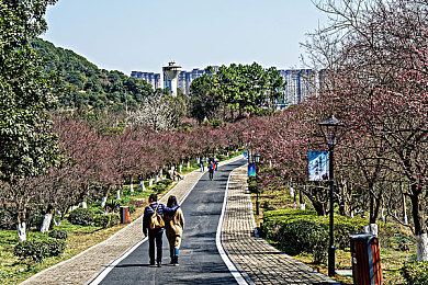 壮志凌云女版2023满天星|梦想绽放,壮志飞扬——女性力量“满天星”之旅-3