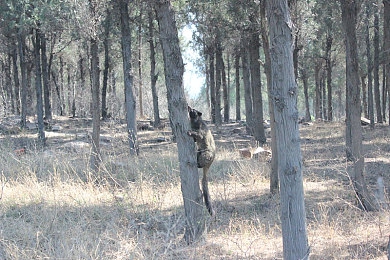 免费看A｜解锁视听盛宴：揭秘免费看A平台，海量资源任你畅享-2