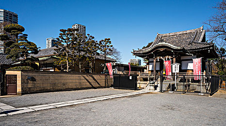 福建导航福建大菠萝官网免费下载|探索福建风情,菠萝大作战之旅-2