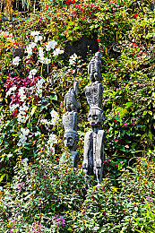 天天色宗合｜色彩艺术新境界：“天天色宗合”揭秘，视觉与情感共鸣之旅