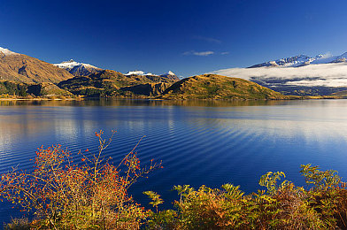 黄色软件下载免费3.0.3｜探险解谜新体验：免费游戏“黄色软件下载免费3.0.3”新版本来袭-2