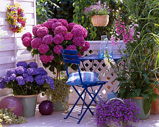 羽毛球叶钊莹怎么了|羽毛球传奇叶钊莹:退役后生活现状揭秘,未来展望再续辉煌-2