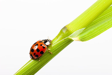 性猛交富乱婆╳XXX大交｜揭开欲望面纱：警惕“性猛交富乱婆”现象的隐忧-2