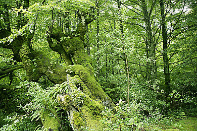 国产家庭乱伦｜家庭伦理失衡引发社会热议与反思-4