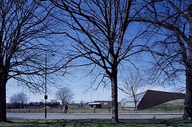 娇小亚裔vs黑人巨大｜尊重差异，理性看待：揭秘娇小亚裔与黑人体型差异之谜-1