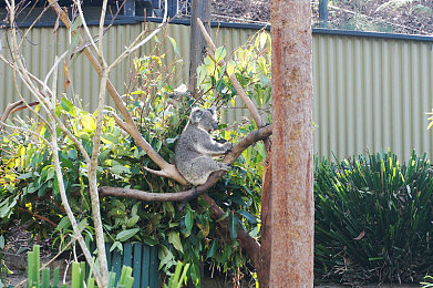 AV一区二区三区｜成人内容产业变革：技术进步与社会认知的碰撞-1