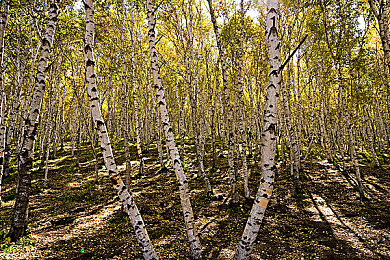 体育生被20cm爆粗进入男男｜竞技火花背后：争议与情绪管理的体育启示录-3