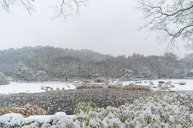 十年沉淀只做经典mba｜十年磨一剑，经典MBA精英养成记-2