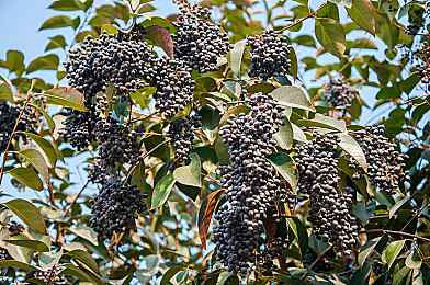 三秒后自动跳转神秘入口|三秒神秘跳转引热议,公益网站揭秘社会热点新方式-4