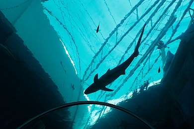 黄小婷被民工变成yin娃｜留守儿童心路历程：勇敢黄小婷的抗争之路-2