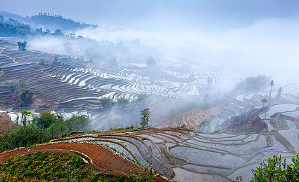 东方影库存1900df|东方影库存1900df引领变革:解码中国电影市场数字化新篇章-3