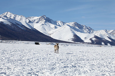 911爆料网吃瓜黑料网曝｜揭秘热议内幕，围观潮流下的真实真相-3