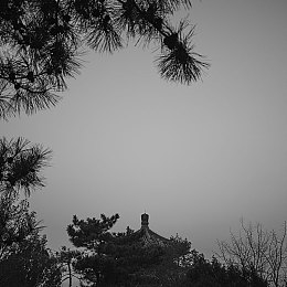 葫芦里面不卖药|葫芦谜局:药店标语引发的诚信大挑战-2