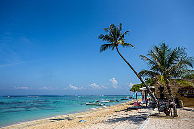 鸡巴APP｜新社交平台引热议，引发用户安全隐忧-1