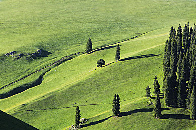 一对一视频直播|网络直播奇遇记:畅游社交新纪元-1