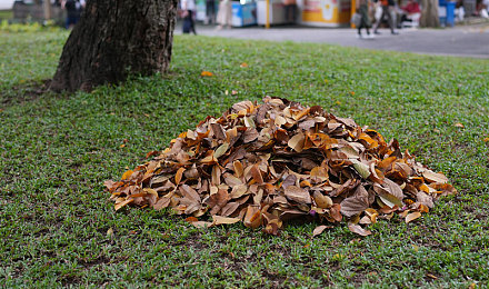 天堂网|网络乌托邦:天堂网,畅游便捷生活之旅-2