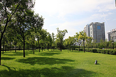 做运动打扑克|创新社交运动风潮:“做运动打扑克”走红,健康娱乐两不误-3