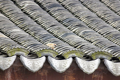 漂亮儿媳秦雨老旺结局怎么样｜秦雨逆袭成功：从坎坷命运到幸福人生，电视剧《漂亮儿媳秦雨老旺》结局揭秘引热议-2