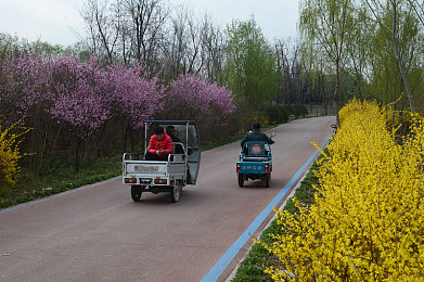 幸福宝8008隐藏入口官网｜揭开幸福之谜，探寻“幸福宝8008”神秘之门