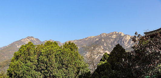 芭比视频app罗志祥代言｜芭比视频APP，罗志祥代言，娱乐新风尚，短视频直播，快乐无限-4