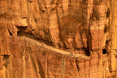 残虐极端疼痛拳|街头格斗术惊现“残虐极端疼痛拳”:残酷打法引争议,身心健康成焦点-1