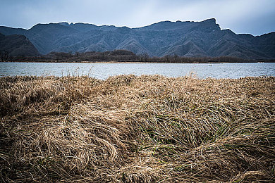 蜜月直播｜蜜月直播兴起：分享旅行乐趣还是隐私安全隐患？-3