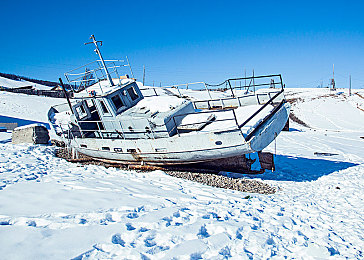 黄色软件下载大全OPPO｜OPPO迅速出击，净化网络空间，共筑清朗网络生态-4