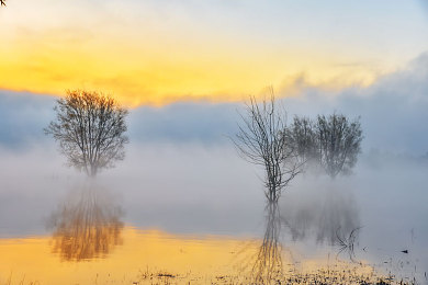 91n.cpm国产|国产科技新突破,91n.cpm亮相引发市场关注,助力国产崛起-3