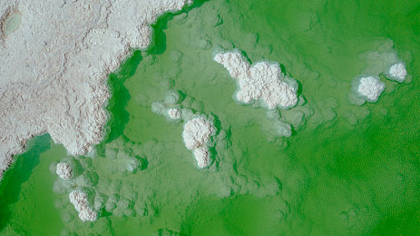 十八禁黄色软件｜网络清朗守护者：打击色情，共筑纯净网络世界-2