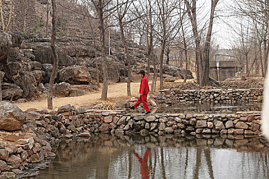 黄色软件破解版下载｜警惕“破解版下载陷阱”：揭秘“黄色软件”风险，守护网络安全，不容忽视！-2