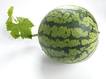 香蕉插入水蜜桃｜水果陷阱大揭秘：守护舌尖安全之旅-3