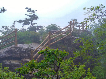 99r这里｜“99元任选，惊喜无限，探索“99r这里”购物新天地”-1