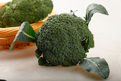 十大禁止黄色软件｜网络安全守护者：畅游无界，远离黄毒十大禁软